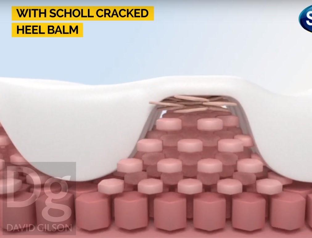 Scholl Cracked Heel Cream